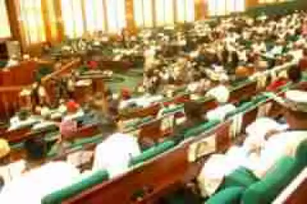Constitutional Amendment: See The Nine Key Areas Senate, House Of Reps Disagree 